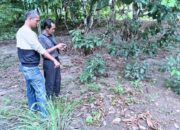 Bhabinkamtibmas Desa Tanjung Harapan Gerak Cepat Tangani Kasus Pencurian Ayam