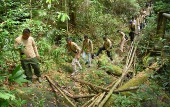 Pemkab Lingga Gelar Pelatihan Intensif untuk Pemandu Wisata Gunung