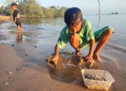 Libur Akhir Pekan di Pantai Tanjung Harapan: Kegiatan Seru Mencari Remis Bersama Keluarga