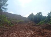 Benarkah Proyek Cut and Fill di Kawasan Hotel Vista Milik Wagub Kepri