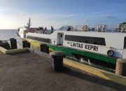 BUP Kepri Tanggapi Polemik Trayek Oceana 9 dan Lintas Kepri