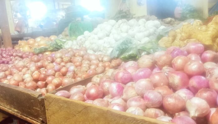 Harga Bawang Merah Tembus Rp40.000 Perkilo di Pasar Sayur Dabo Singkep Pada Agustus 2025