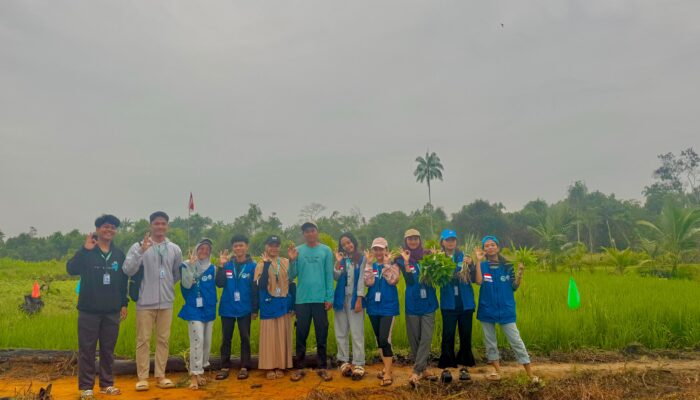 Sawah Toapaya Selatan Ikon Baru Ketahanan Pangan dan Menjadi Harapan Wisata Desa Kepulauan Riau