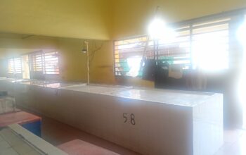 Ayam Potong Di Pasar Dabo Singkep Mulai Langka, Masyarakat Dan Pedagang Menjerit