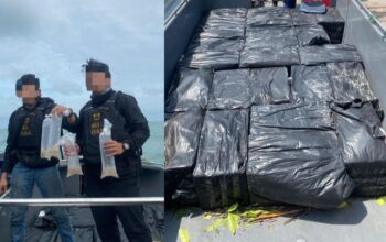 Perairan Lingga Rawan Disalahgunakan, 231 Ribu Benih Lobster Nyaris Diselundupkan ke Malaysia