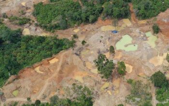 WALHI SUMUT Dukung Aparat Penegak Hukum Tindak Tegas Aktivitas Tambang Ilegal.