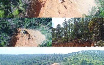 Tetap Panen Di Lahan Negara, Masyarakat Sesalkan Sikap PT Barapala