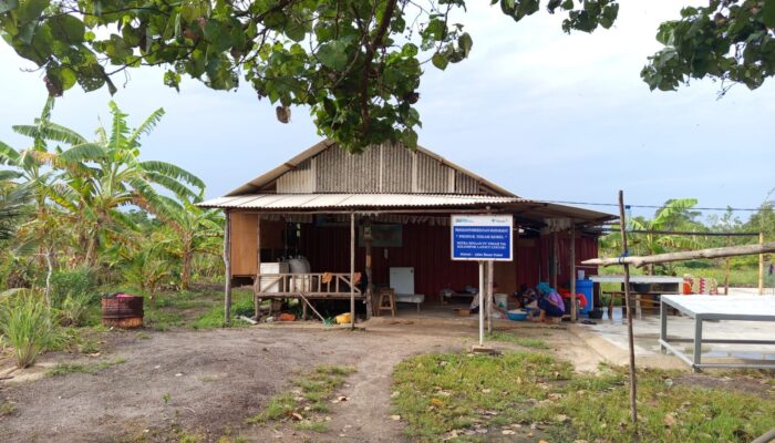 PT TIMAH Berdayakan KWT Lanjut Lestari Lewat Produk Belacan Cinta