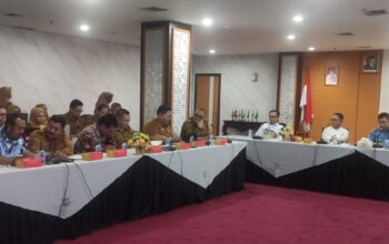Kajian HPM Pasir Kuarsa Mandek, PAD Lingga Terancam Seret
