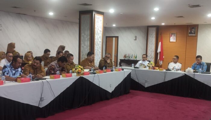 Kajian HPM Pasir Kuarsa Mandek, PAD Lingga Terancam Seret