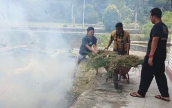 Pagoda Terbengkalai di Singkep Kembali Hidup, Tiga Cabor Bela Diri Jadikan Arena Latihan Porprov
