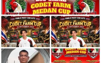 Codet dan Aan Gelar Perjudian Laga Ayam di Kota Binjai, Polisi Diduga Tutup Mata
